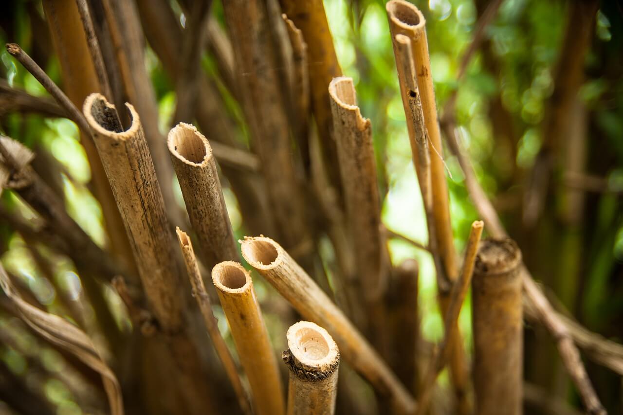 Бамбуковый веник изготовление